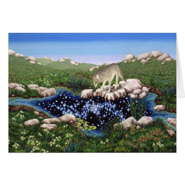 Kojote durch Darlene P. Coltrain (Vorderseite (Horizontal))