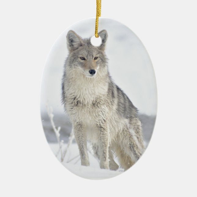 Kojote im Schnee bei Yellowstone Keramikornament (Vorne)