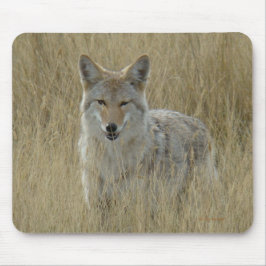 Kojote R2 im hohen Gras Mousepad