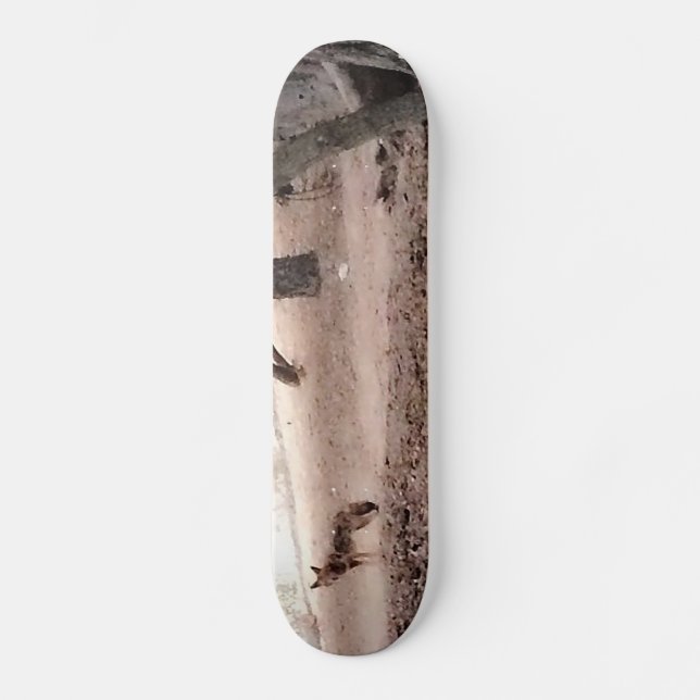 KOJOTE Skateboard (Vorderseite)
