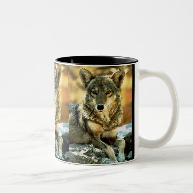 Kojote, Tier-Liebhaber-Geschenke Zweifarbige Tasse (Rechts)
