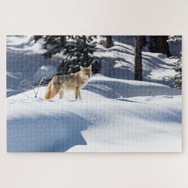Kojoten-Winter-Wildtier-Tier-Puzzle (Horizontal)