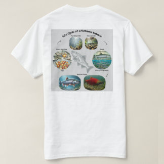Kokanee-Lachs-Lebenszyklus-Grafik T-Shirt