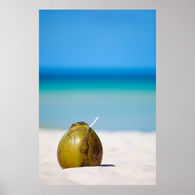Kokosnuss am Strand Poster (Vorne)