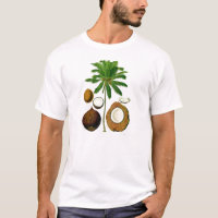 Kokosnuss-Baum-botanische Illustration