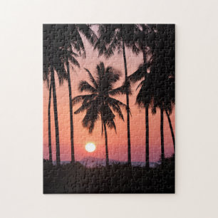 Kokosnuss-Palme-Landschaft