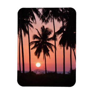 Kokosnuss-Palme-Landschaft Magnet