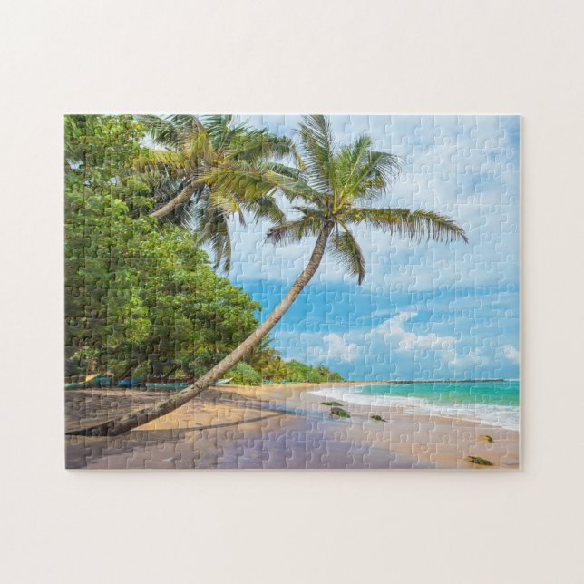 Kokosnuss-Palme, Mirissa Strand | Sri Lanka (Horizontal)