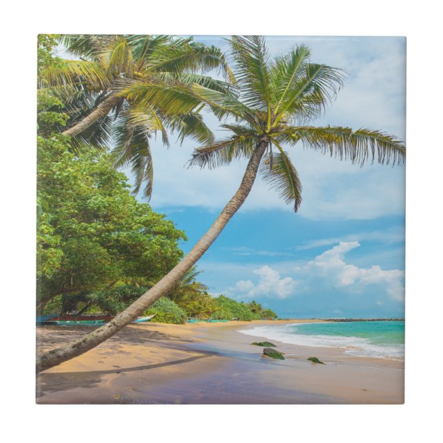 Kokosnuss-Palme, Mirissa Strand | Sri Lanka Fliese (Vorderseite)