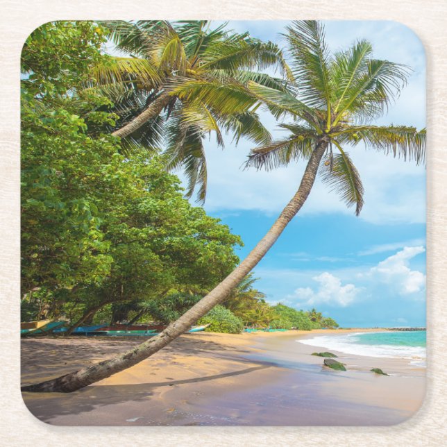 Kokosnuss-Palme, Mirissa Strand | Sri Lanka Rechteckiger Pappuntersetzer (Vorderseite)