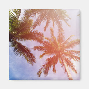 Kokosnuss-Palme mit Sonnenlicht Magnet