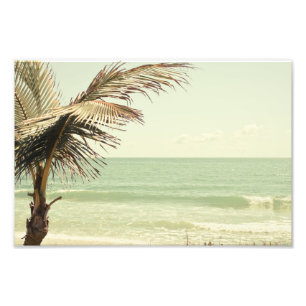 Kokosnuss-Palme und Pastellstrand-Fotografie Fotodruck