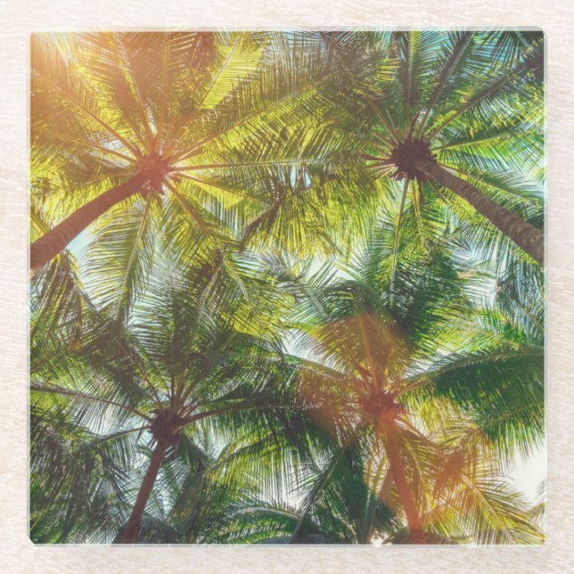 Kokosnuss-Palmen auf dem Strand Glasuntersetzer (Vorderseite)