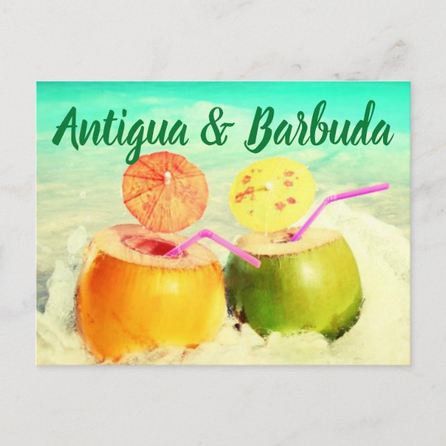 Kokosnüsse aus Antigua und Barbuda Postkarte (Vorderseite)