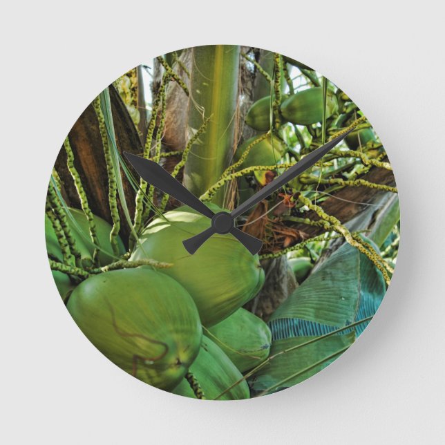 Kokosnüsse Insel Palm Tree Karibik USVI Runde Wanduhr (Vorderseite)