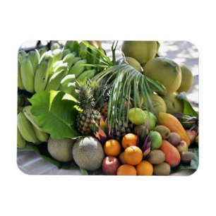 Kokosnüsse, Orangen, Limonen, Bananen, Papayas Magnet