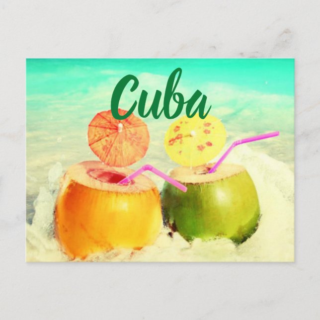 Kokosnüsse Postkarte (Vorderseite)