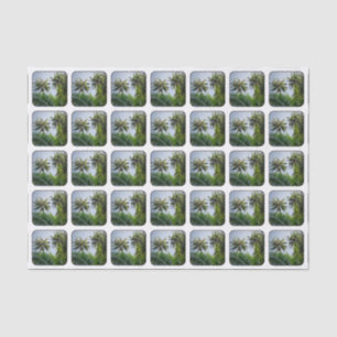 Kokosnusspalmen Seidenpapier