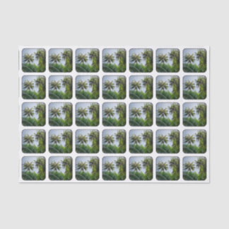 Kokosnusspalmen Seidenpapier