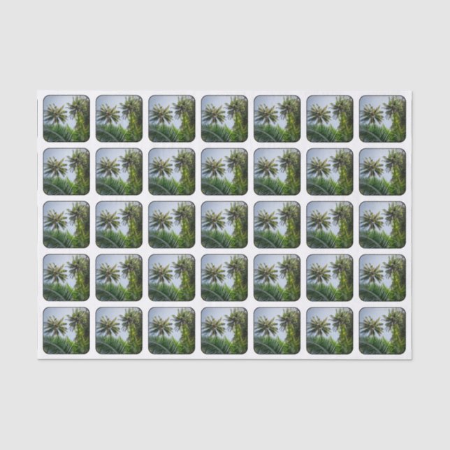 Kokosnusspalmen Seidenpapier (Vorderseite)