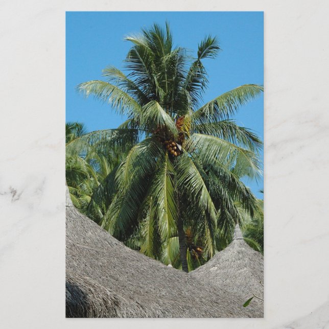 Kokospalme Flyer (Vorne)