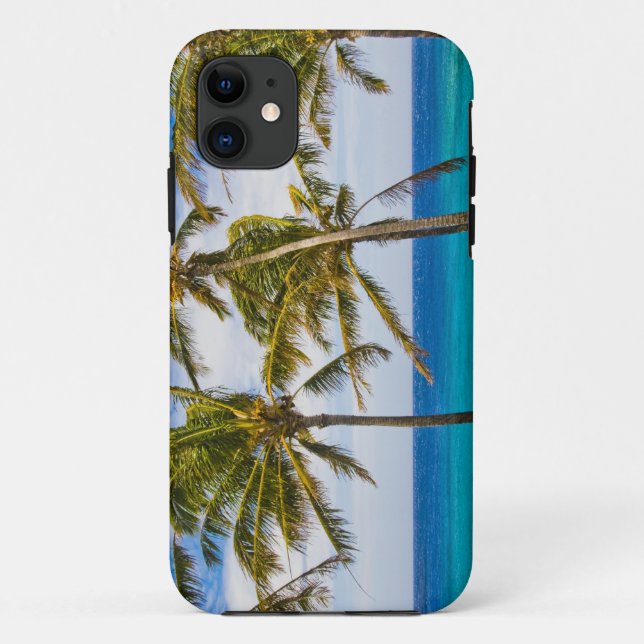 Kokospalmen (Cocos nucifera) Case-Mate iPhone Hülle (Rückseite)