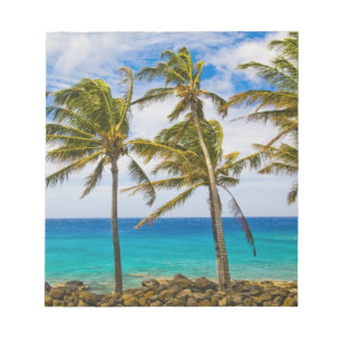 Kokospalmen (Cocos nucifera) schwanken in Notizblock
