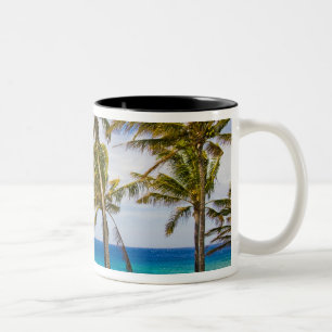 Kokospalmen (Cocos nucifera) schwanken in Zweifarbige Tasse