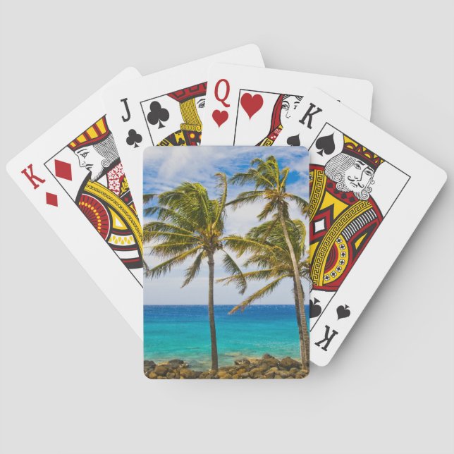 Kokospalmen (Cocos nucifera) Spielkarten (Rückseite)