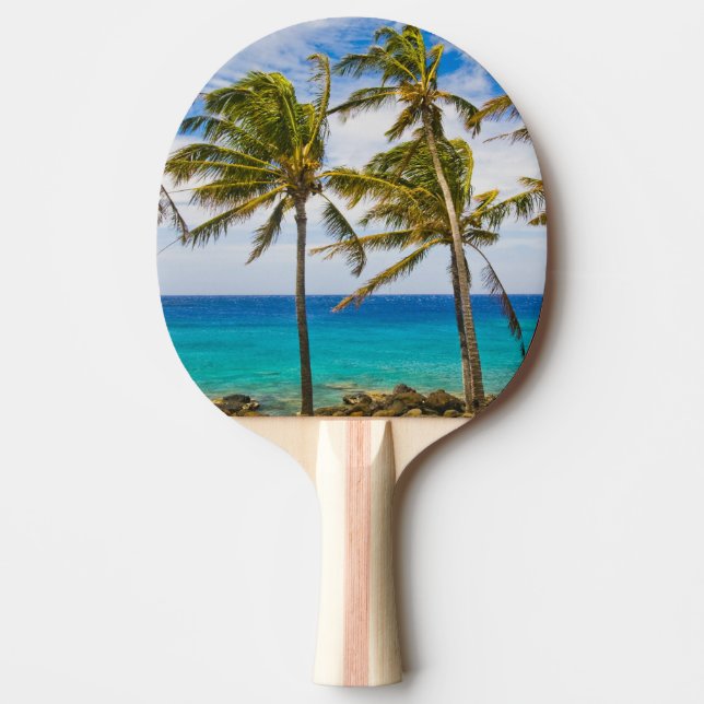 Kokospalmen (Cocos nucifera) Tischtennis Schläger (Vorderseite)
