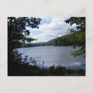 Kokospalmen Gap Staat Park Pennsylvania Seebäume Postkarte