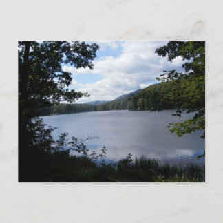 Kokospalmen Gap Staat Park Pennsylvania Seebäume Postkarte
