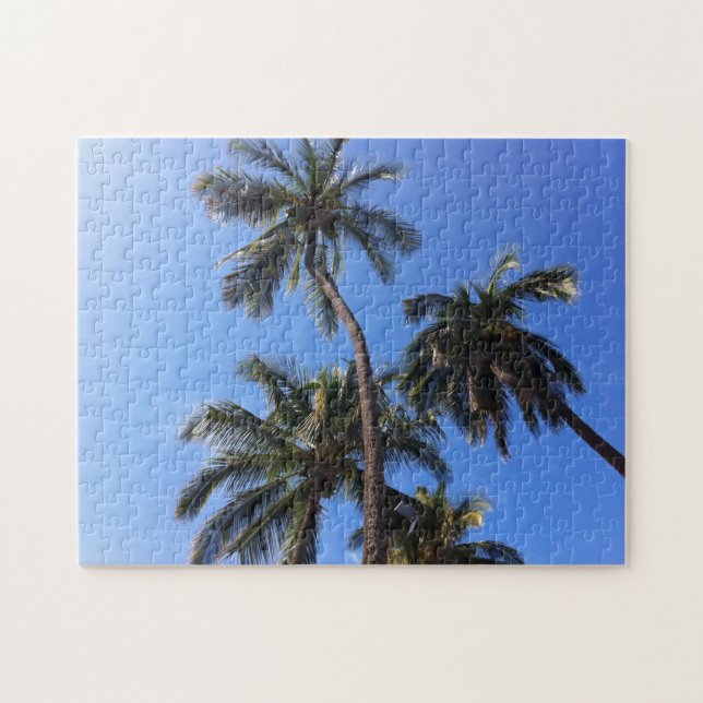 Kokospalmen in Kihei, Maui, Hawaii (Horizontal)