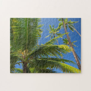 Kokospalmen, Pu'uhonua o Honaunau 1