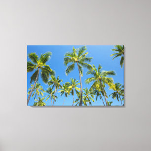 Kokospalmen, Pu'uhonua o Honaunau 2 Leinwanddruck