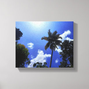 Kokospalmen und Himmel Leinwanddruck