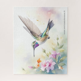 Kolibri