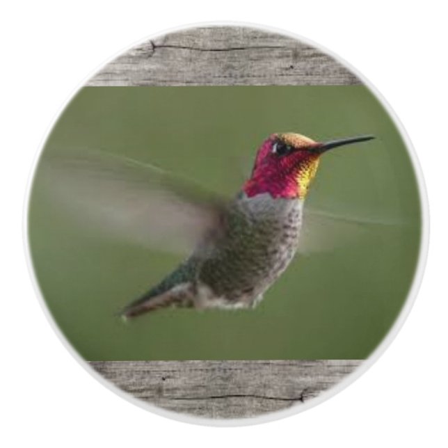 Kolibri auf Keramik-Griffen und Zügen Keramikknauf (Vorderseite)