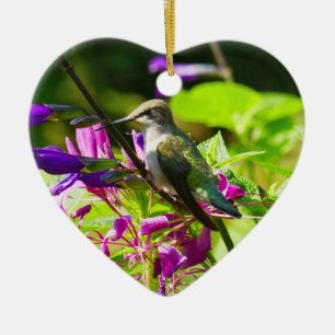 Kolibri auf Kolibriminze Farbige Natur Keramik Ornament