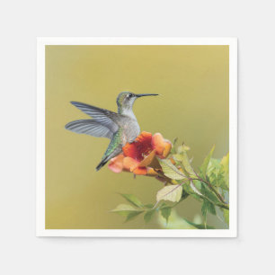 Kolibri auf Trompetenblume Fotodruck Serviette