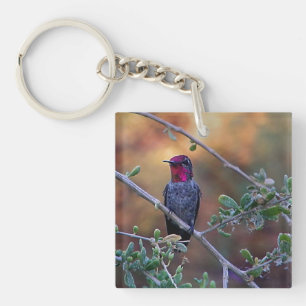 Kolibri bei Sonnenuntergang Schlüsselanhänger