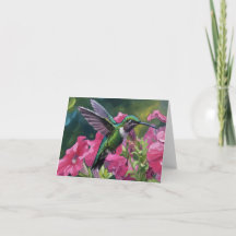 Kolibri besucht meinen Blumenkorb