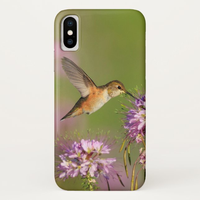 Kolibri Case-Mate iPhone Hülle (Rückseite)