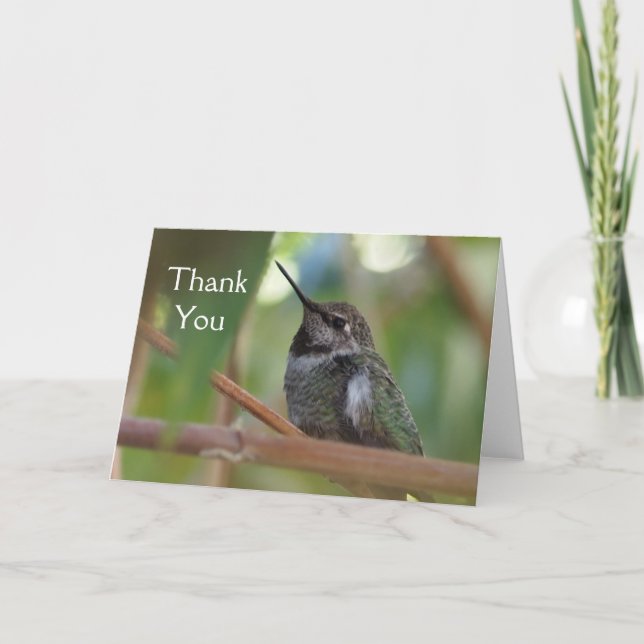 Kolibri danken Ihnen zu kardieren Dankeskarte (Vorderseite)