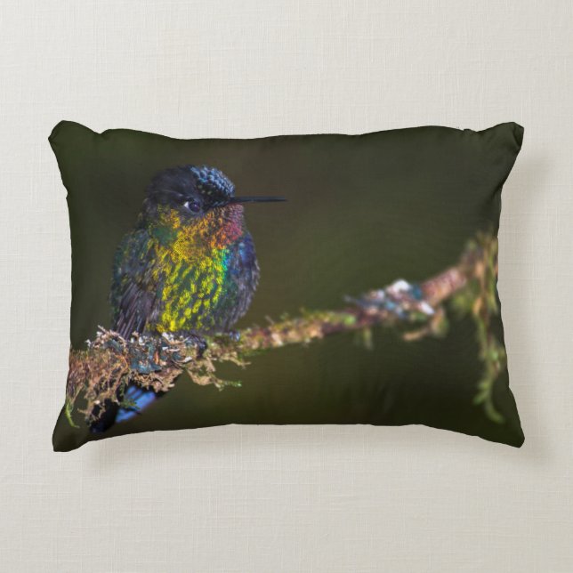 Kolibri Dekokissen (Vorderseite)