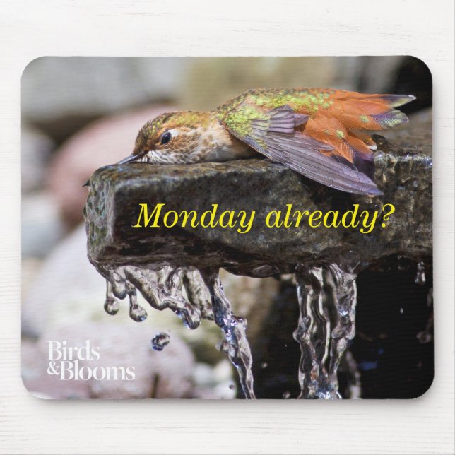 Kolibri, der in Wasser 2 legt Mousepad (Vorne)