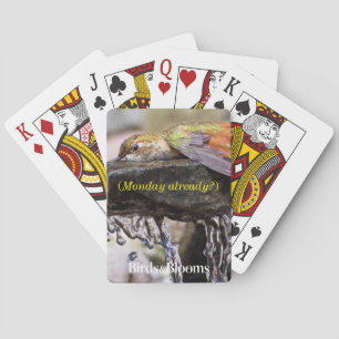 Kolibri, der in Wasser 2 legt Spielkarten