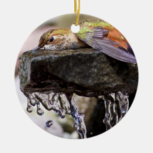 Kolibri, der in Wasser legt Keramik Ornament (Vorne)