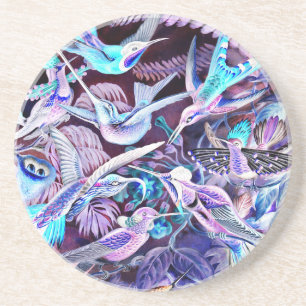 Kolibri-Fine-Art Untersetzer