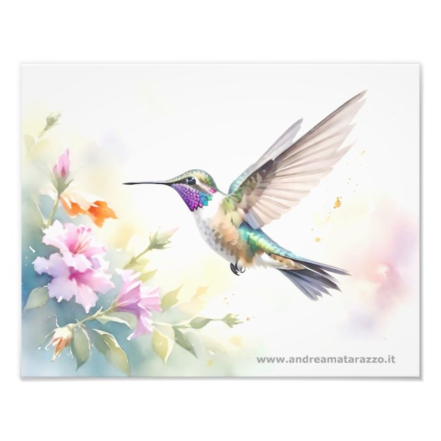 Kolibri Fotodruck (Vorne)